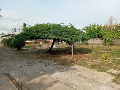 Chính chủ cho thuê lô đất mặt tiền từ 10.000.000 - 20.000.000. Cho thuê đất tại Thành phố Trà Vinh Trà Vinh được đăng bởi Ngọc Ánh