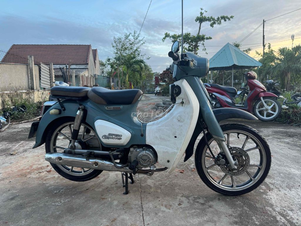 Honda Cub 50 2023 Xanh trắng. Mua bán Xe máy tại Huyện Phù Cát Bình Định được đăng bởi Trần Hiếu hình 3