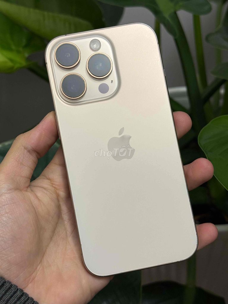 iPhone 16 Pro 256GB Vàng lock eid. Mua bán Điện thoại tại Thành phố Đà Lạt Lâm Đồng được đăng bởi nhanh gọn lẹ hình 1