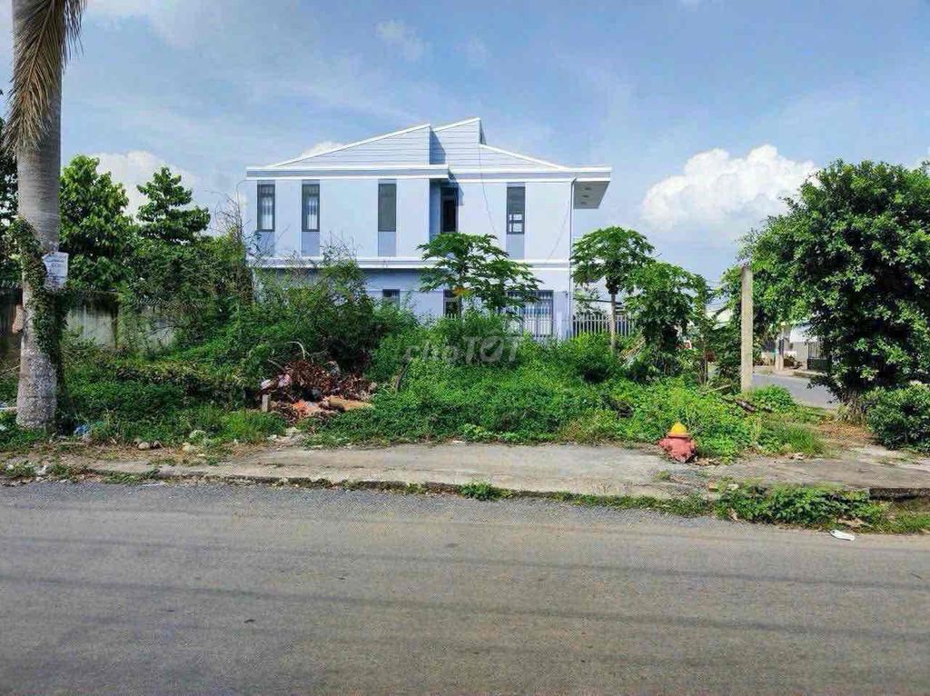 NỀN GÓC ĐẸP TRỤC CHÍNH HOÀNG HẢO