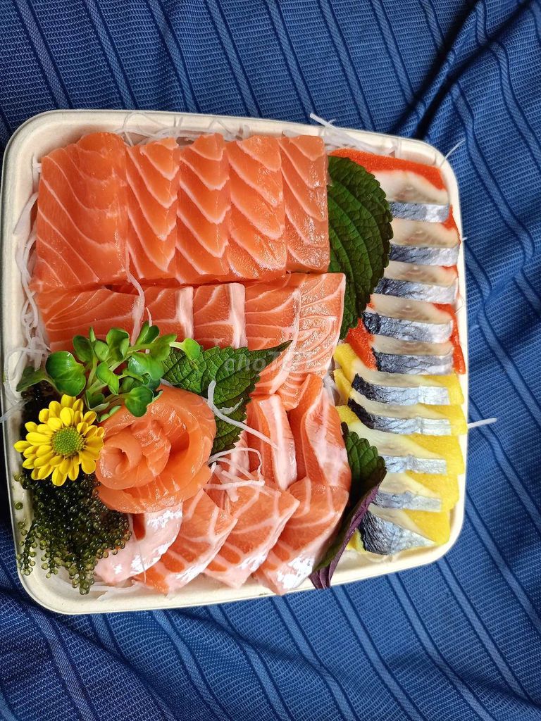 Hộp Sashimi Cá hồi và cá  trích ép trứng - 3B