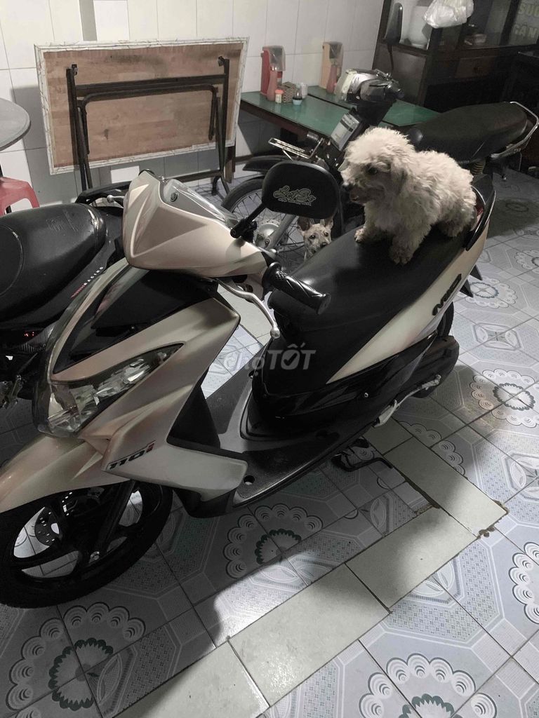 Kiếm lúa ăn tết. Mua bán Xe máy tại Thị xã Hoài Nhơn Bình Định được đăng bởi Lâm Vỹ hình 1