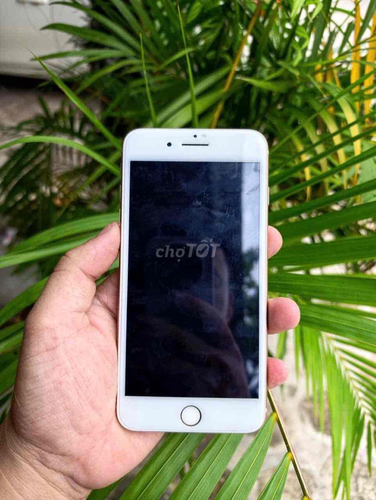 Apple iPhone 8 Plus 64GB Vàng hồng Like New. Mua bán Điện thoại tại Huyện Lục Nam Bắc Giang được đăng bởi Tuấn hình 1