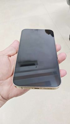 Apple iPhone 13 Pro Max 128GB Vàng Đã qua sử dụng. Mua bán Điện thoại tại Thành phố Qui Nhơn Bình Định được đăng bởi nguyen van nhanh
