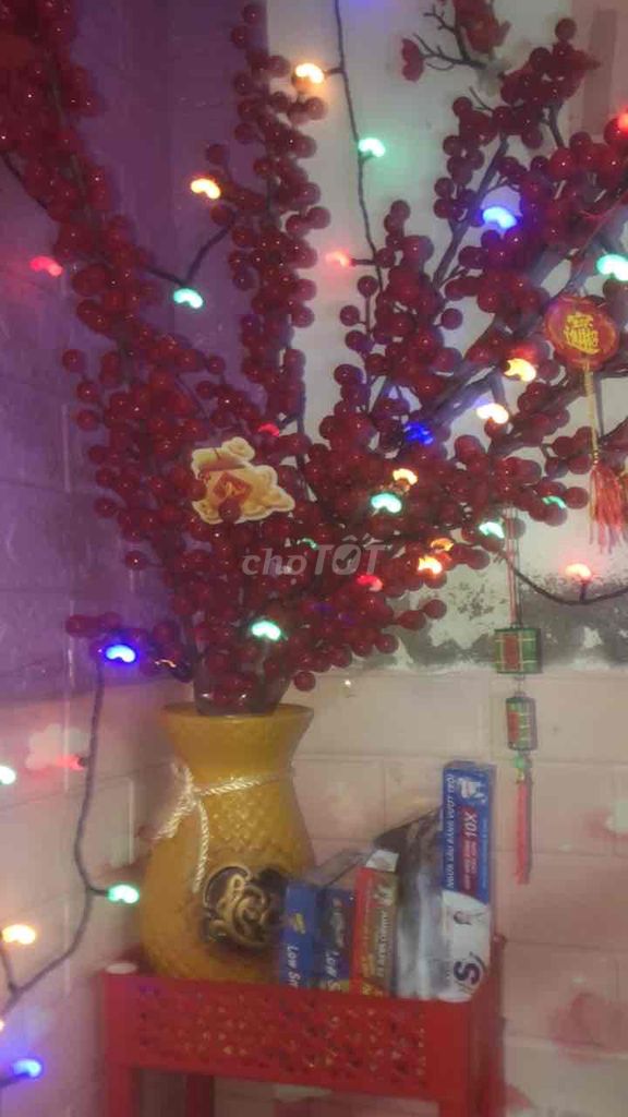 Cây trang trí Tết màu Đỏ. Mua bán Cây cảnh, đồ trang trí tại Thành phố Cà Mau Cà Mau được đăng bởi Tony hình 1