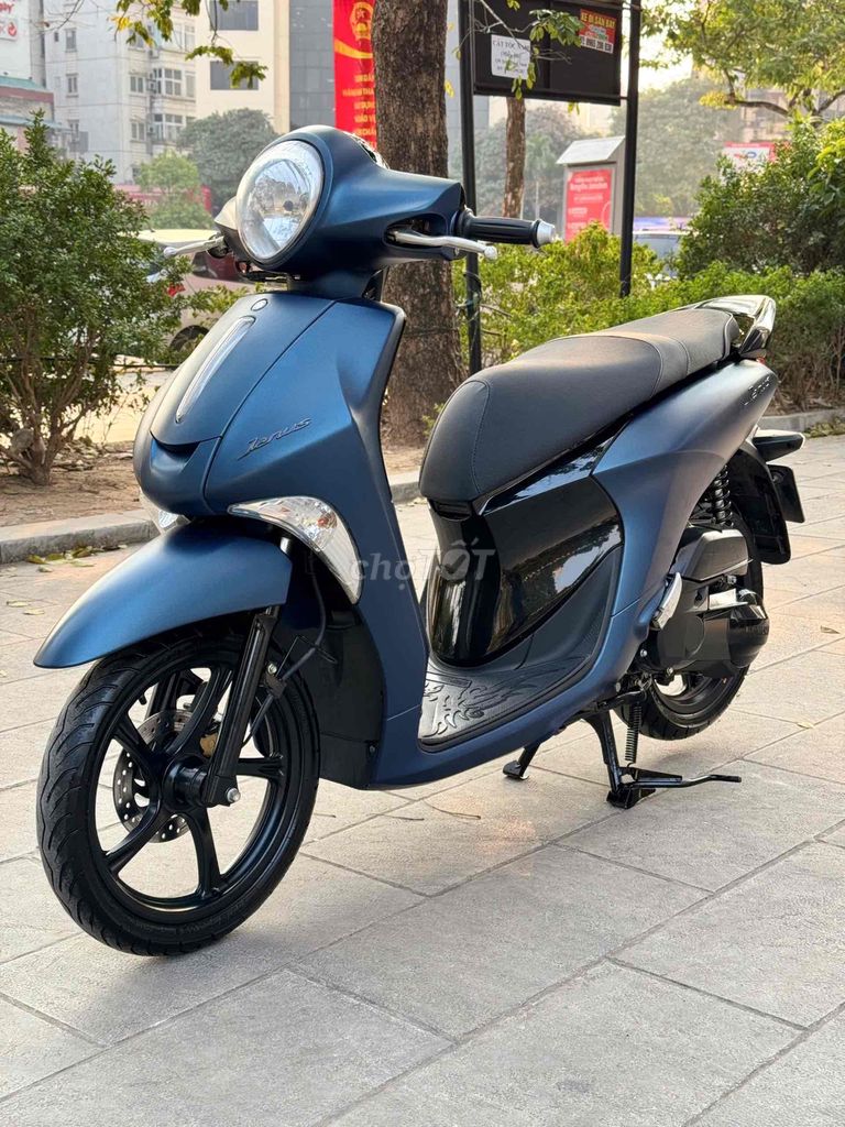 XMHN: Yamaha _ Janus 125 _ 2019 29V xx79 Cực Mới