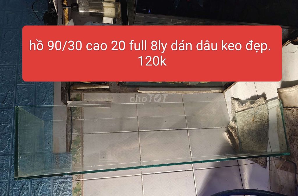 Hồ 90cm 8ly giá rẽ