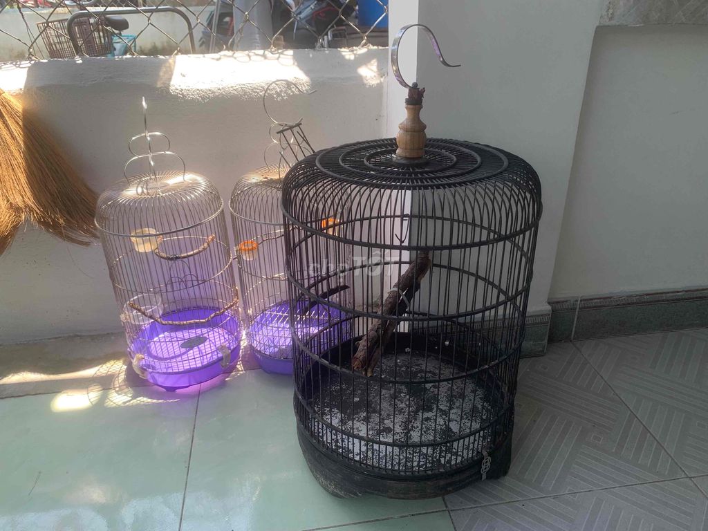 Lồng chim Inox Hút mật. Mua bán Phụ kiện, Thức ăn, Dịch vụ tại Huyện Hòa Vang Đà Nẵng được đăng bởi Anh Tèo hình 1