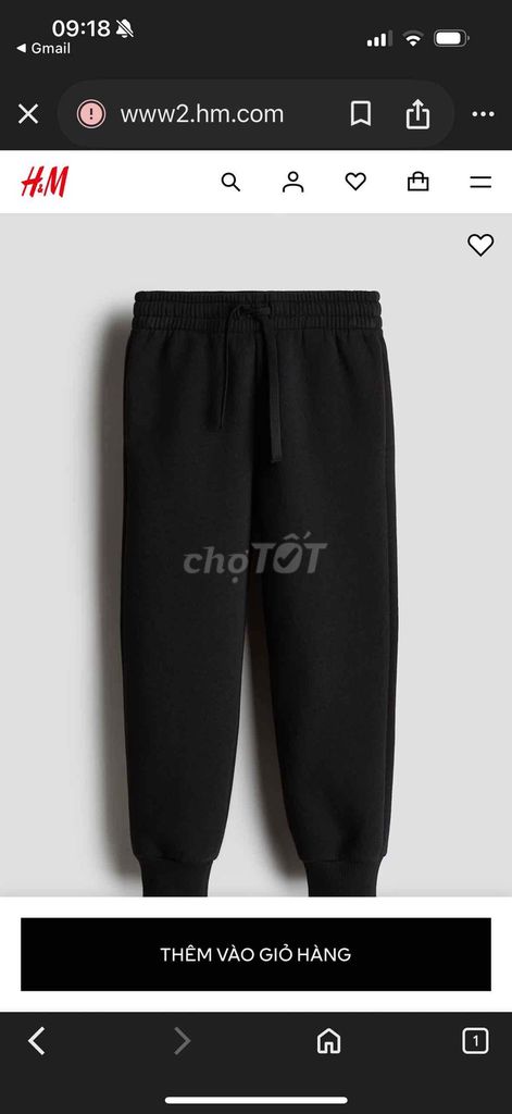 Quần jogger nam H&M chải xù. Mua bán Quần áo tại Thành phố Thủ Đức Tp Hồ Chí Minh được đăng bởi Vy vy hình 1