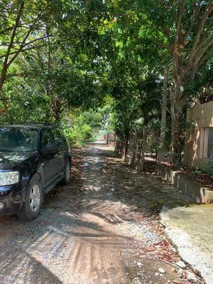 Đất MT 10300m2  Đường ô Tô  trục DT824 Long An 10 tỷ. Mua bán đất tại Huyện Bến Lức Long An được đăng bởi Nguyễn Văn dũng