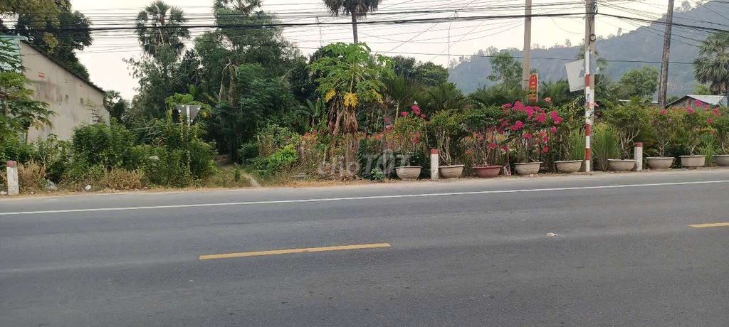 Đất 2 mặt tiền 2197m shr. Mua bán Đất tại Huyện Tịnh Biên An Giang được đăng bởi Huỳnh Xuân  hình 6