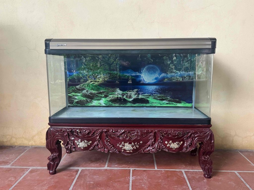 Bể cá cảnh đúc 1m2. Mua bán Phụ kiện, Thức ăn, Dịch vụ tại Thành phố Thanh Hóa Thanh Hóa được đăng bởi Tùng Nguyễn hình 1