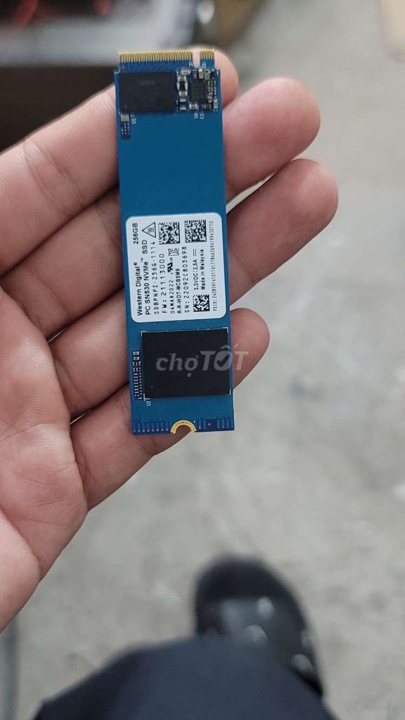 Ổ cứng SSD Western Digital SN530 256GB. Mua bán Linh kiện (RAM, Card...) tại Quận Đống Đa Hà Nội được đăng bởi đức lợi pc hình 1