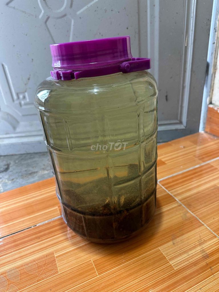 siỉo chuối. Mua bán Đồ ăn, thực phẩm và các loại khác tại Huyện Thuỷ Nguyên Hải Phòng được đăng bởi Quang hình 1