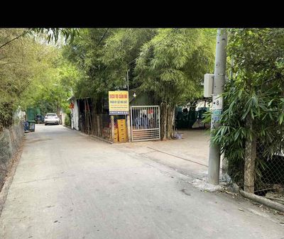 đất phú chánh 8 căn trọ ngag 12m. Mua bán đất tại Thị xã Tân Uyên Bình Dương được đăng bởi nguyễn minh tâm