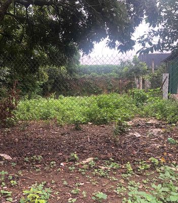 Đất Mặt Tiền Kinh Doanh. Mua bán đất tại Thị xã Sơn Tây Hà Nội được đăng bởi PHÙNG BÌNH