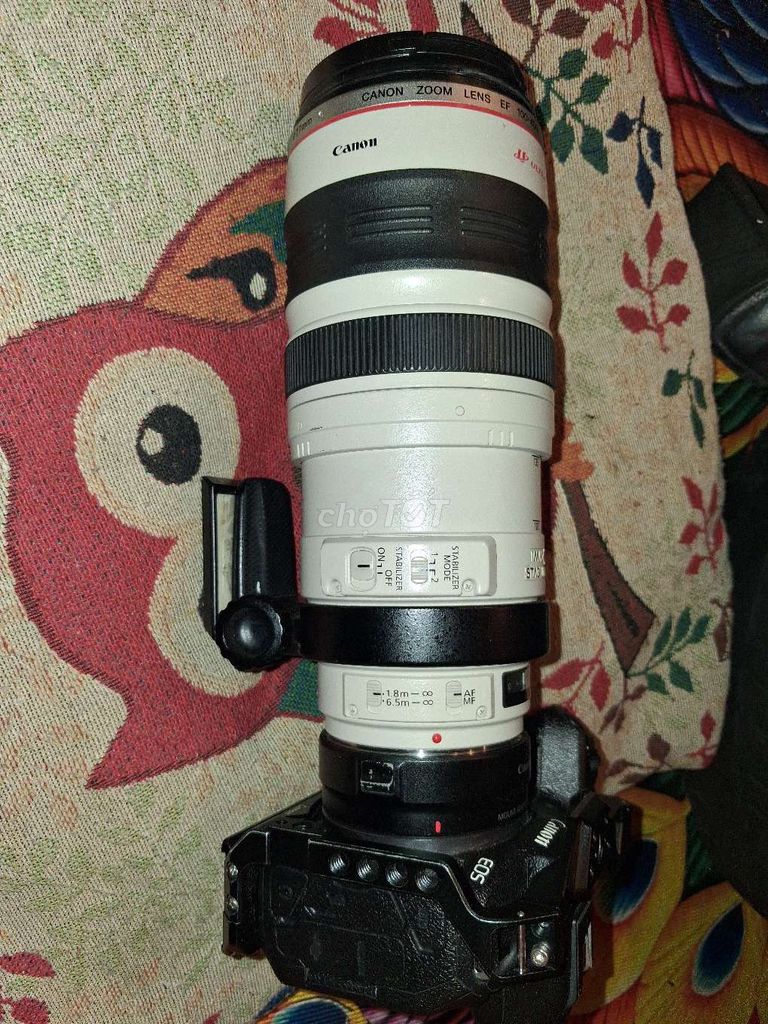 Ống kính Canon EF 100-400mm L IS USM  ( rất đẹp ). Mua bán Máy ảnh, Máy quay tại Thành phố Đà Lạt Lâm Đồng được đăng bởi Dũng Huy Nguyễn  hình 1