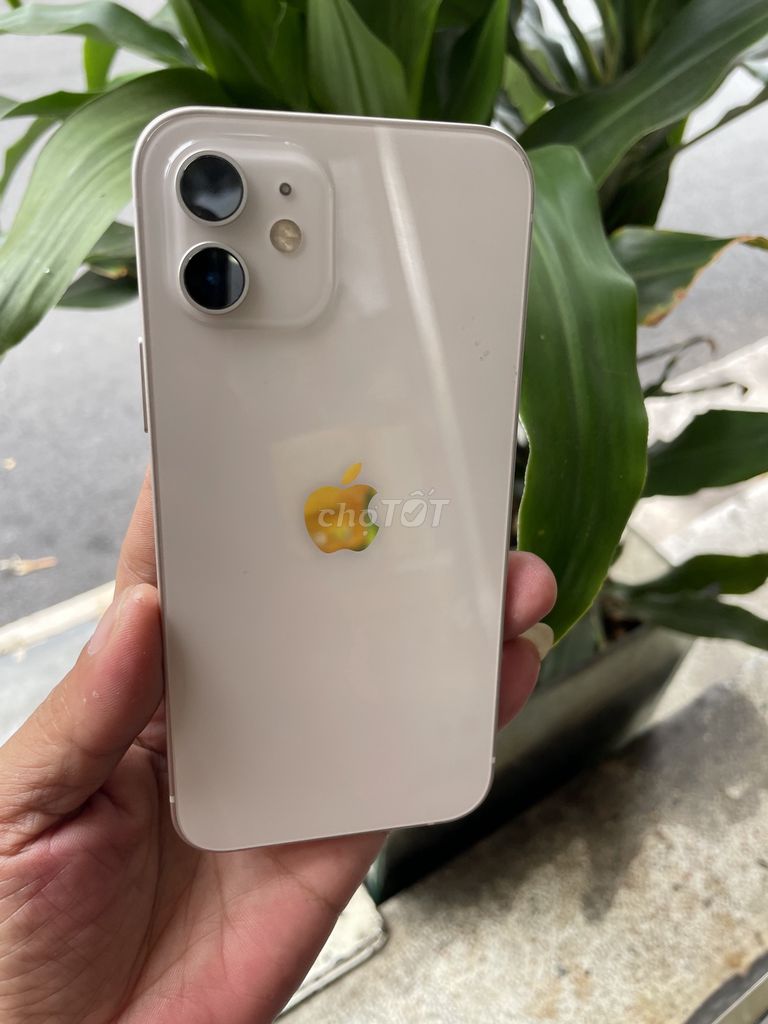 Apple iPhone 12 64GB Trắng 92% QT Mỹ . Mua bán Điện thoại tại Quận Phú Nhuận Tp Hồ Chí Minh được đăng bởi Triệu VY hình 1