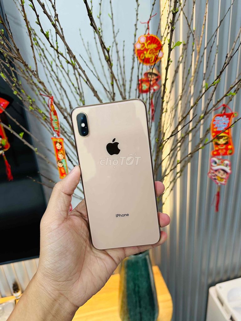 Iphone Xs Max 64GB Quốc tế Full 💥