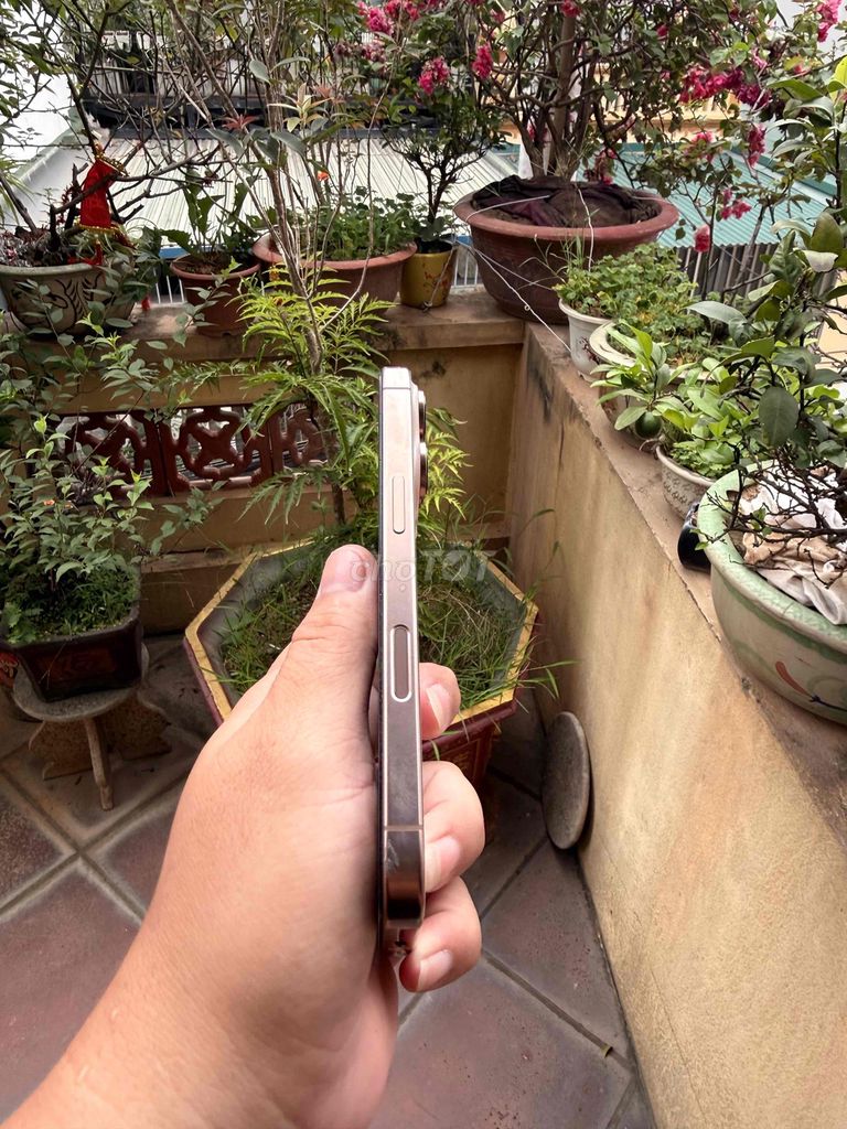 Apple iPhone 16 Pro 256GB Vàng sa mạc. Mua bán Điện thoại tại Quận Long Biên Hà Nội được đăng bởi Trần minh đạt hình 1