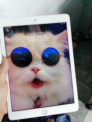 ipad Pro .Nguyên zin, còn đẹp,Full vân tay, xài ok. Mua bán Máy tính bảng tại Quận 12 Tp Hồ Chí Minh được đăng bởi hoang Thai