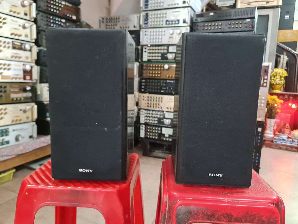 Loa Sony SS P99