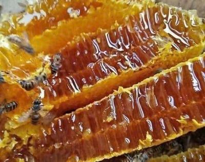 Mật ong rừng Vàng nâu. Mua bán Đồ ăn, thực phẩm và các loại khác tại Quận Gò Vấp Tp Hồ Chí Minh được đăng bởi Tấn Đạt