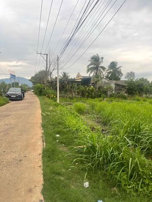 Đất chính chủ tại xã Bảo Hoà có 125ONT. Mua bán đất tại Huyện Xuân Lộc Đồng Nai được đăng bởi Đại Thành Công