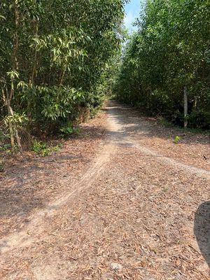 CHUYỂN NHƯỢNG ĐẤT  SKC Long Phước- Long Thành  - cổng trước Sân Bay.. Mua bán đất tại Huyện Long Thành Đồng Nai được đăng bởi Bùi Hồng Nam
