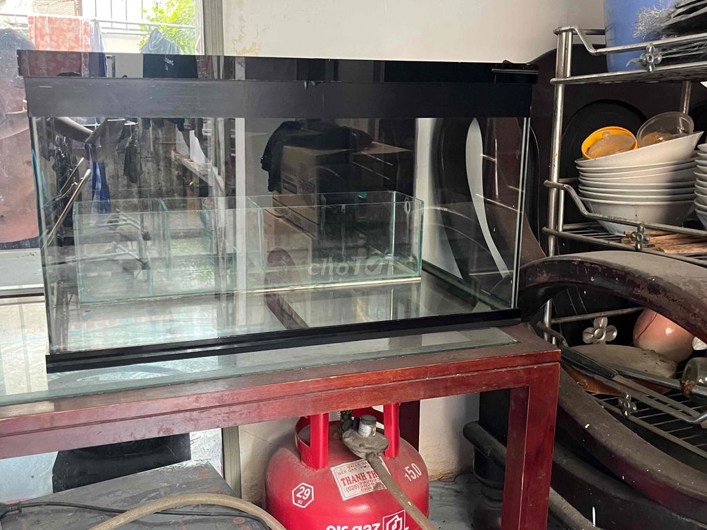 Hồ cá 70x40x40 cm có lọc, đèn LED. Mua bán Phụ kiện, Thức ăn, Dịch vụ tại Quận 1 Tp Hồ Chí Minh được đăng bởi tuấn hình 1