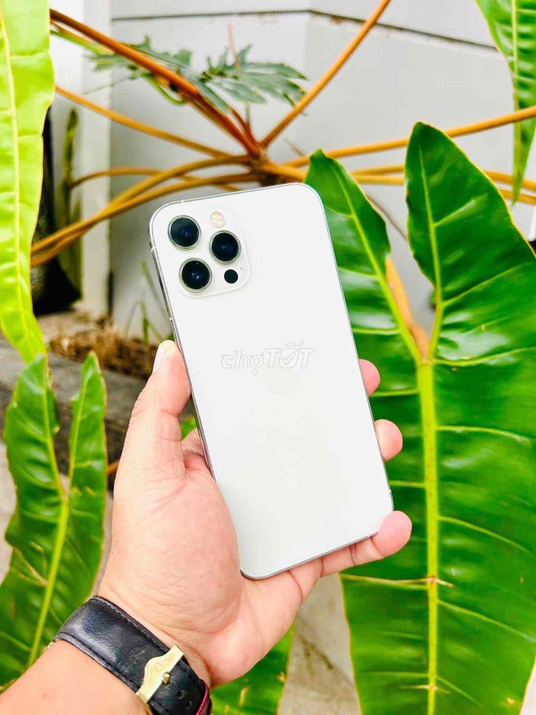 Apple iPhone 12 Pro Max 128GB Trắng. Mua bán Điện thoại tại Thành phố Bạc Liêu Bạc Liêu được đăng bởi Cậu Hai hình 1