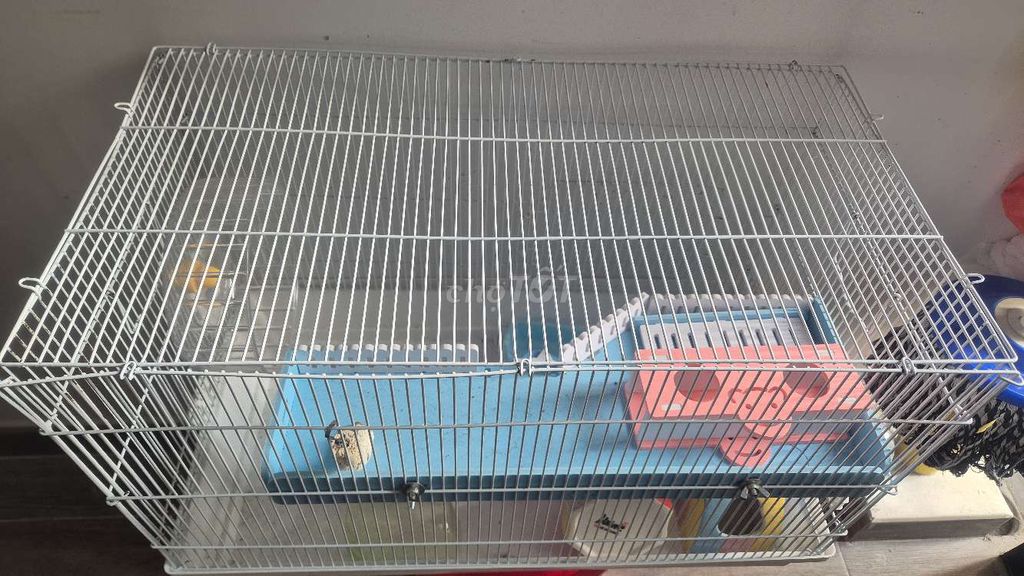 Thanh lý chuồng và full phụ kiện nuôi hamster