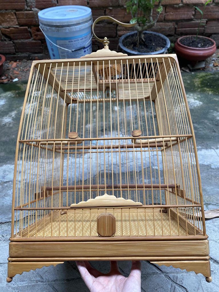 Thái,vuông cao. Mua bán Phụ kiện, Thức ăn, Dịch vụ tại Thành phố Biên Hòa Đồng Nai được đăng bởi Đức hình 1