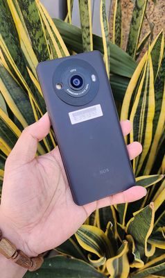 Sharp Aquos R8s Pro Đen 256GB - Nhật Bản. Mua bán Điện thoại tại Quận Gò Vấp Tp Hồ Chí Minh được đăng bởi Công Nguyễn