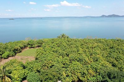 Bán lô đất 2280m2 vườn xoài đẹp giáp mặt hồ Trị An 35m, ô tô đến đất