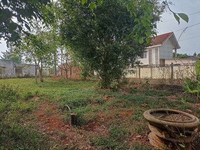 Đất đẹp chính chủ. Mua bán đất tại Huyện Ea Kar Đắk Lắk được đăng bởi sang