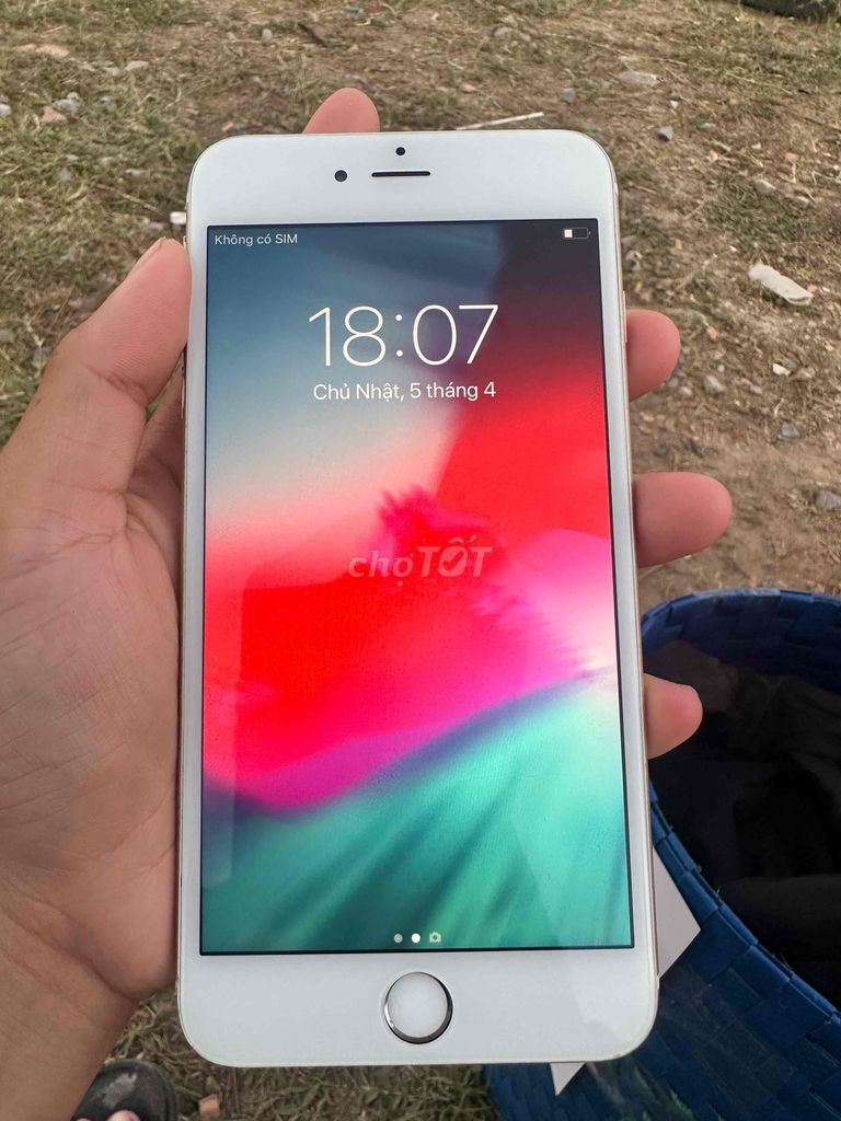 Apple iPhone 6 Plus 16GB Vàng. Mua bán Điện thoại tại Huyện Phong Điền Cần Thơ được đăng bởi Quốc Vinh hình 1
