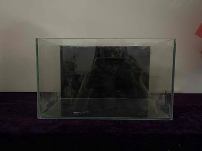 Thanh lý bể cá nhỏ. Mua bán Phụ kiện, Thức ăn, Dịch vụ tại Quận 10 Tp Hồ Chí Minh được đăng bởi Bethie 