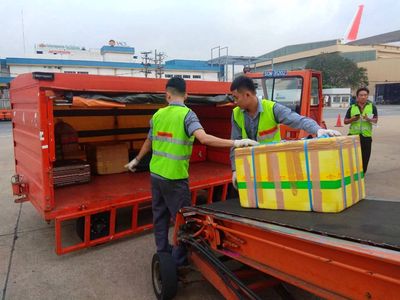 Tuyển Phục Vụ Hành Lý SB Tân Sơn Nhất. Việc làm tại Quận Tân Bình Tp Hồ Chí Minh được đăng bởi Trung