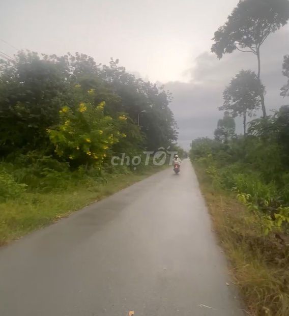 Bán mt Nguyễn Thị Chiếu, dt 576,5m, có 188m thổ, xã An Phú