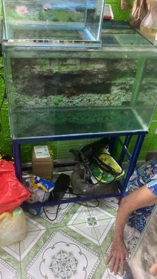 Bể cá cảnh Kính, Kim loại 60x30x30cm. Mua bán Phụ kiện, Thức ăn, Dịch vụ tại Thành phố Thủ Đức Tp Hồ Chí Minh được đăng bởi Nam