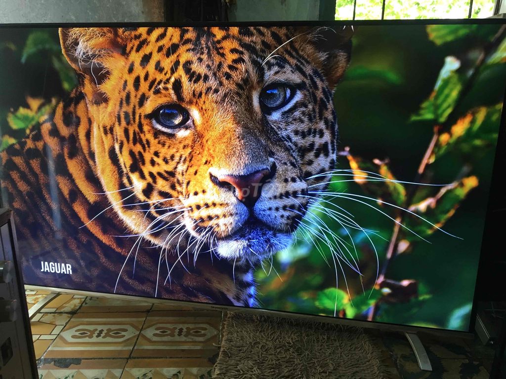 tv skyworth 55 inch 4k tràn viền