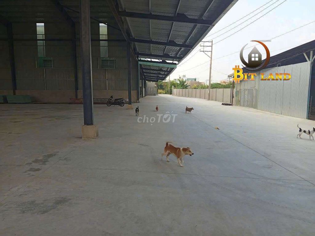 Cho thuê 3600m2 xưởng An Hoà, đất SKC phù hợp sản xuất