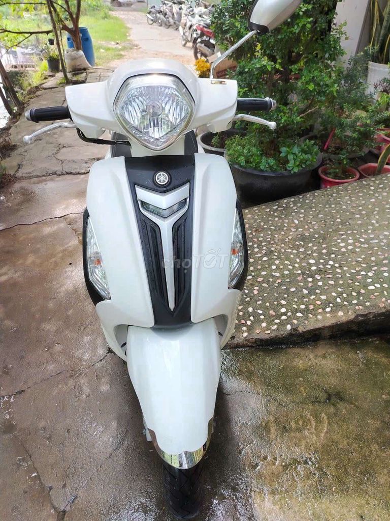 Yamaha Nozza Grande 125 2015 Trắng 9819 km. Mua bán Xe máy tại Quận Gò Vấp Tp Hồ Chí Minh được đăng bởi Pham Van Hung hình 3