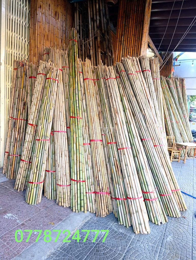 Trúc Tre Nội thất decor 2m-5m. Mua bán Cây cảnh, đồ trang trí tại Quận Cẩm Lệ Đà Nẵng được đăng bởi Nhất Nguyễn Bamboo hình 1