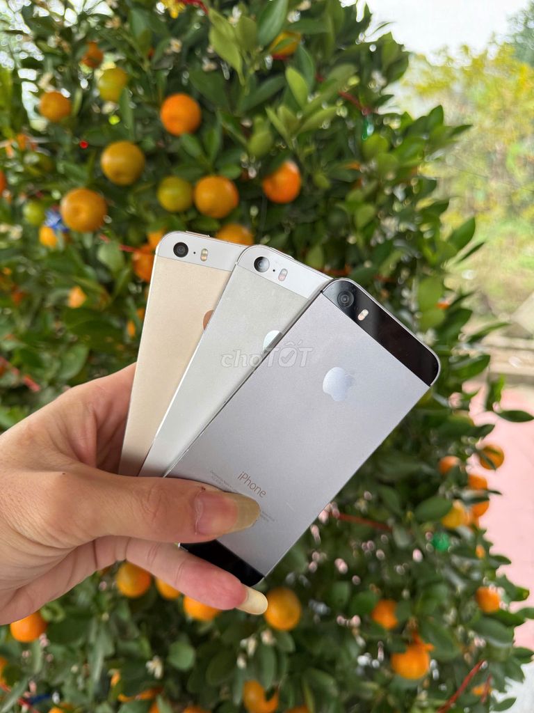 Apple iPhone 5s Vàng, Bạc. Mua bán Điện thoại tại Huyện Đoan Hùng Phú Thọ được đăng bởi Nguyễn Quốc Việt hình 1