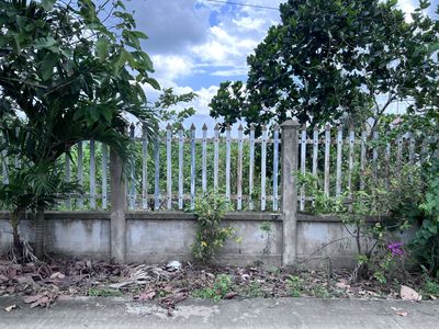 🌿 BÁN ĐẤT VƯỜN 1.200m² XE 16 CHỖ TỚI NƠI – CÁCH ĐƯỜNG LỚN CHỈ 30 GIÂY. Mua bán đất tại Huyện Cần Giuộc Long An được đăng bởi Thịnh Trần