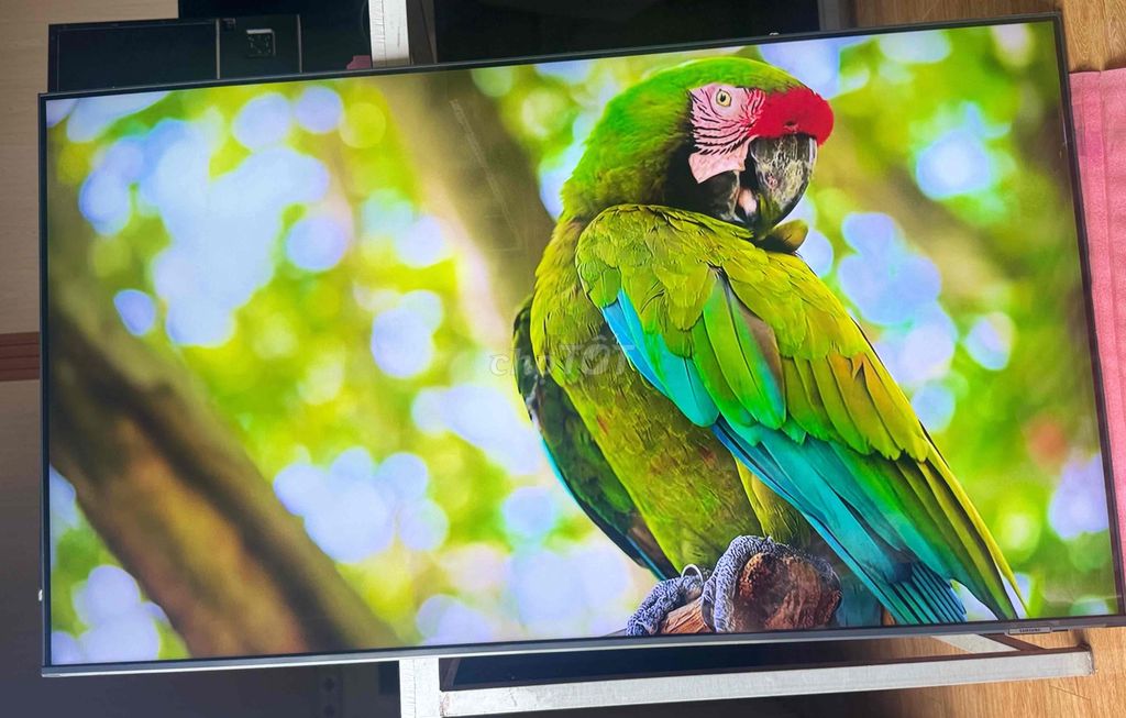 Tivi Samsung 55Q65A 55 inch. Mua bán Tivi, Âm thanh tại Quận Ô Môn Cần Thơ được đăng bởi Truc Ly hình 1