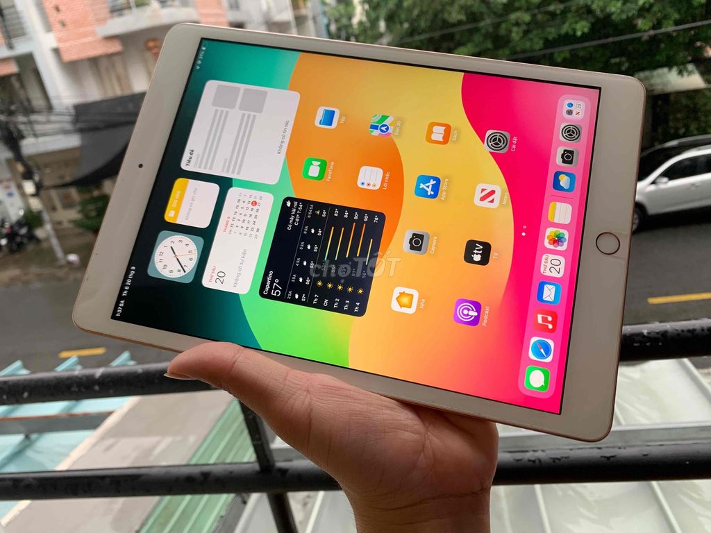 iPad Gen 7 màu vàng Gold sa mạc. 10.2in. ios 17