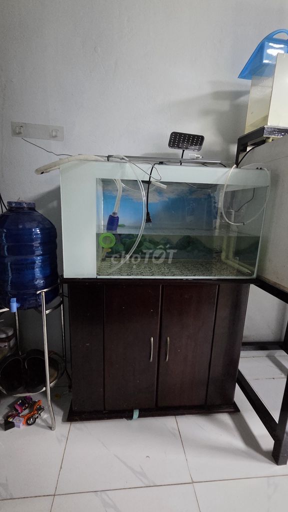 Bể cá cảnh Kính Gỗ 83x43x45 cm Đã sử dụng. Mua bán Phụ kiện, Thức ăn, Dịch vụ tại Thị xã Tân Uyên Bình Dương được đăng bởi Hung Xuan hình 1